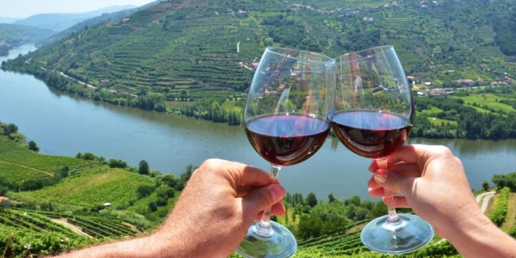 Espólio do Instituto do Vinho do Porto vai ser preservado 11 Instituto do Vinho do Porto