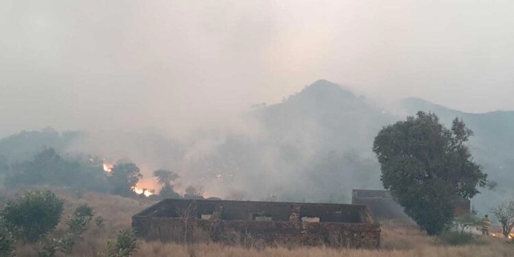 Cabo Verde. Sete militares mortos em acidente de viação em combate a incêndio 11 combate a incêndio