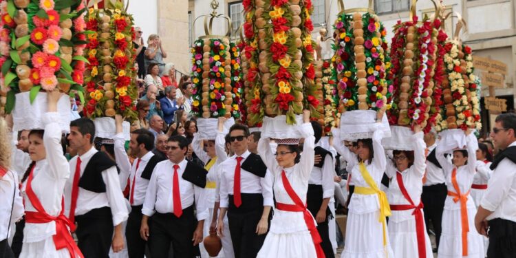Risco de incêndio impede tradicional fogo de artifício no primeiro cortejo da festa dos Tabuleiros 11 festa dos Tabuleiros