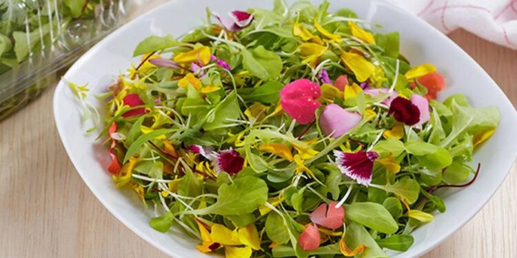 Empresa portuguesa angaria milhares de euros para produzir flores comestíveis 11 flores comestíveis