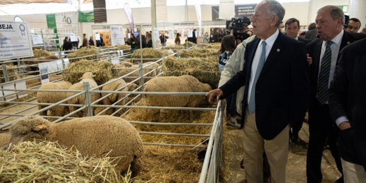 ACOS não convida Governo a visitar a Ovibeja 11 ovibeja marcelo