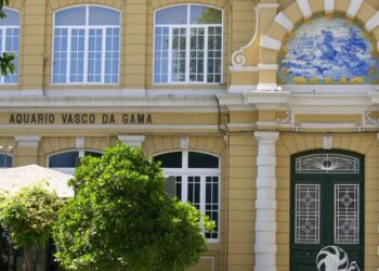 Aquário Vasco da Gama