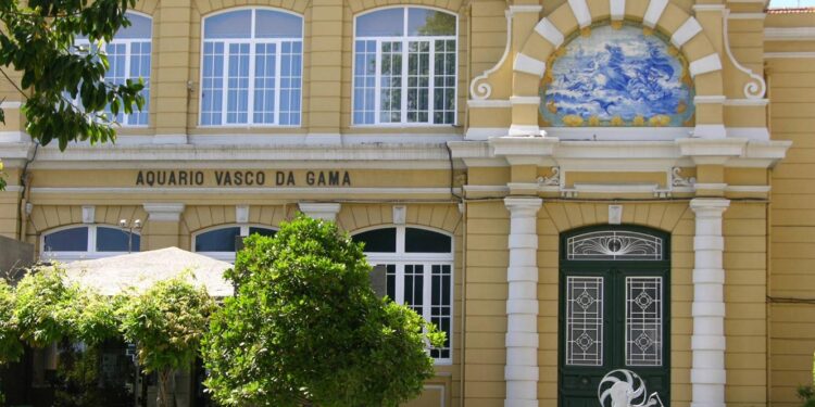 Aquário Vasco da Gama nasceu há 125 anos do sonho de um príncipe 11 Aquário Vasco da Gama