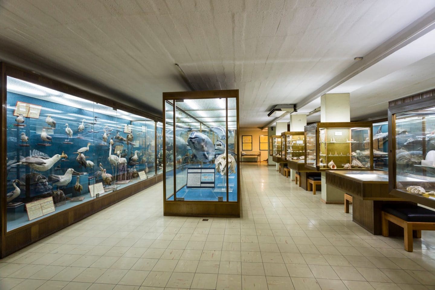 Aquário Vasco da Gama nasceu há 125 anos do sonho de um príncipe