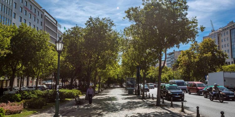 Lisboa. Avenida da Liberdade totalmente aberta, com exposições, workshops e visitas guiadas gratuitas 11 Lisboa. Avenida da Liberdade totalmente aberta, com exposições, workshops e visitas guiadas gratuitas