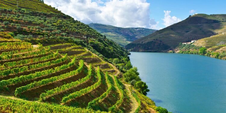 Douro é a Cidade Europeia do Vinho 2023 11 Douro Cidade Europeia do Vinho