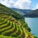 Douro é a Cidade Europeia do Vinho 2023 22 Douro Cidade Europeia do Vinho
