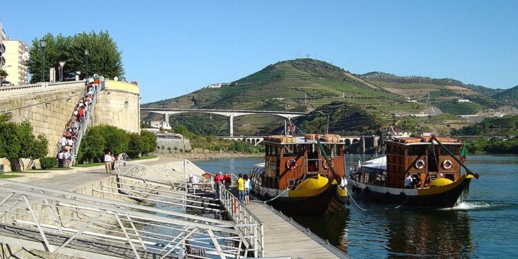 Nova edição do Douro Wine City em Peso da Régua 11 Douro Wine City