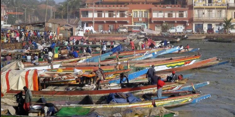 Guiné-Bissau. CPLP envia Missão de Observação às Eleições Legislativas 11 Guiné-Bissau