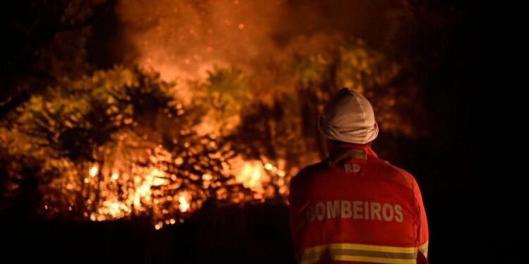 64% dos fogos florestais desde janeiro foram causados por negligência 11 64% dos fogos florestais desde janeiro foram causados por negligência