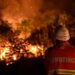 64% dos fogos florestais desde janeiro foram causados por negligência 22 64% dos fogos florestais desde janeiro foram causados por negligência