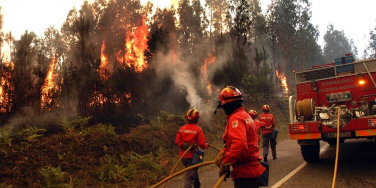 incêndios florestais portugal