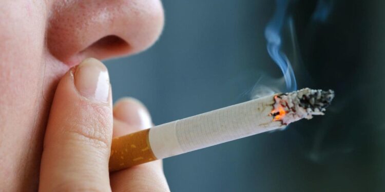 Conselho de Ministros aprova alterações à lei do tabaco 11 tabaco