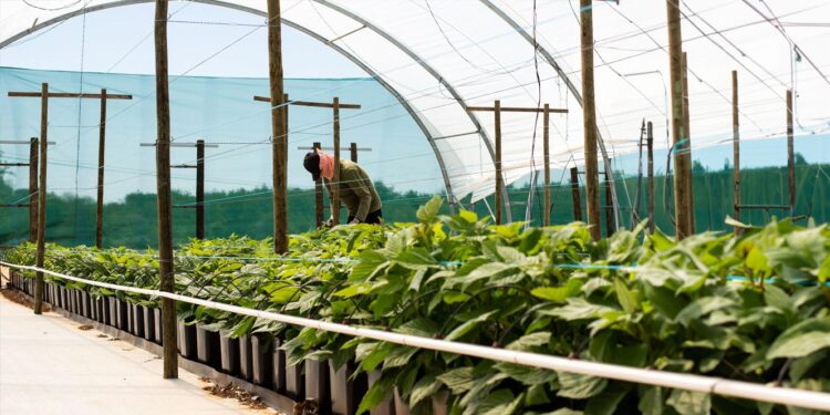 Portugal regista 650.000 trabalhadores estrangeiros 11 trabalhadores estrangeiros