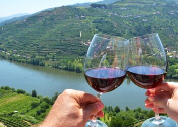 Douro Wine City