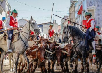 Festas do Colete Encarnado