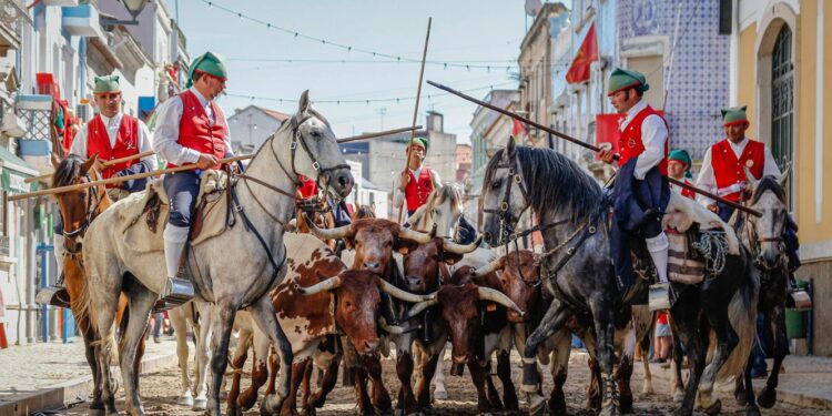 Festas do Colete Encarnado