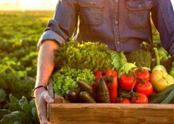 alimentos agrícolas