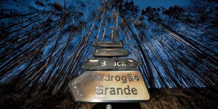 incêndios Pedrógão Grande