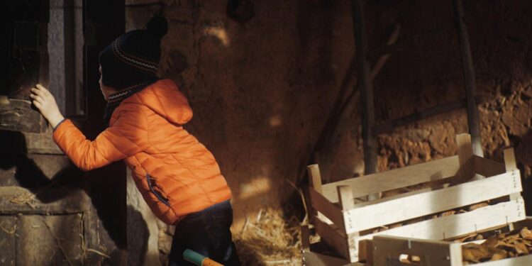 Filme falado em mirandês abre o 27º Festival de Cinema de Avanca 11 Capa de Honras La Cuonta de L Garotico I L Bielh