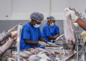 Cabo Verde. Filhas juntaram-se e criaram empresa para ajudar a pagar dívida da mãe 33 Fresk d’Gustinh