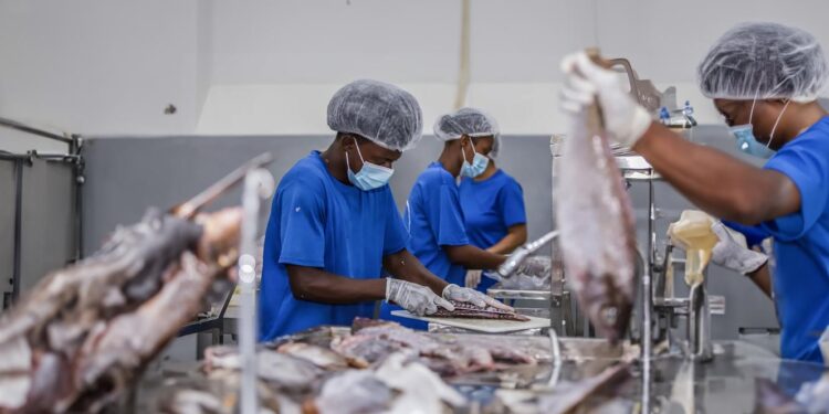 Cabo Verde. Filhas juntaram-se e criaram empresa para ajudar a pagar dívida da mãe 11 Fresk d’Gustinh