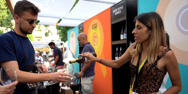 Guarda Wine Fest dinamiza economia local 11 Guarda Wine Fest