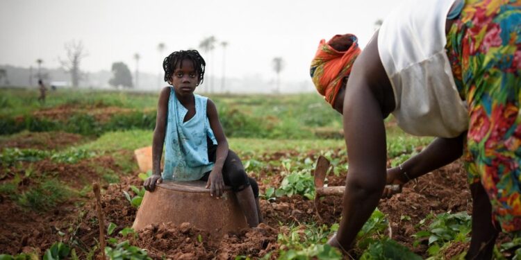 Guiné-Bissau. ONU apoia projetos prioritários com US$ 48 milhões 11 Guiné-Bissau. ONU