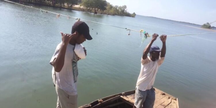 Moçambique. Gazene, uma comunidade isolada a menos de uma hora do centro de Maputo 11 Moçambique. Gazene