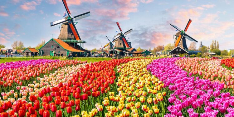 Portugueses já emigram mais para os Países Baixos do que para o Luxemburgo 11 Países Baixos