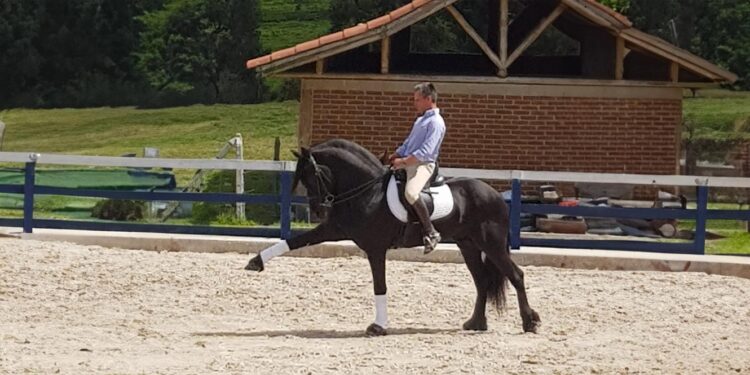 Colômbia. Ex-toureiro português alvo de assassinato a tiro 11 Rui Alexandre foi morto em Bogotá