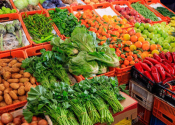 banda de legumes e horticulas