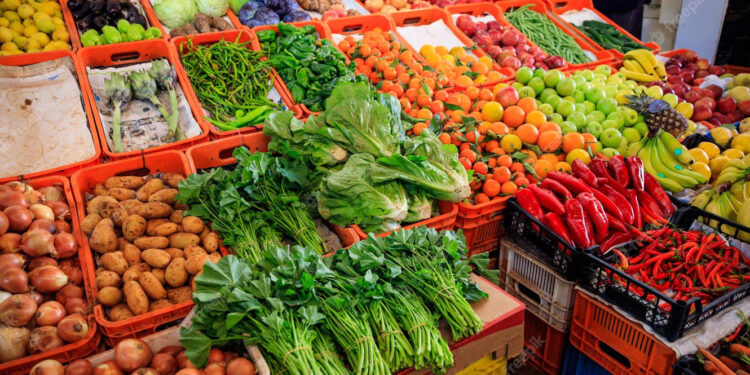 Agricultores denunciam que 68% da meta do PEPAC está por candidatar a 15 dias do fim do prazo 11 banda de legumes e horticulas