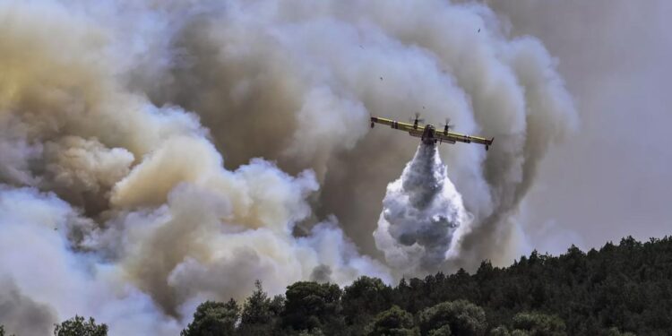 Grécia. Família de portugueses em fuga das chamas viveu "efeito Titanic" 11 fogos grecia