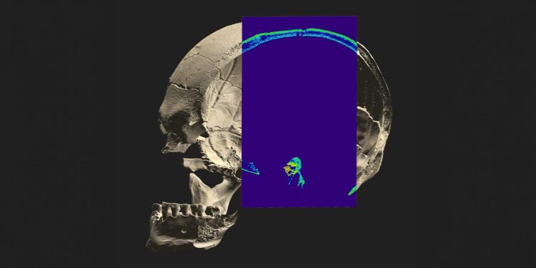 Cientistas extraem ADN de esqueleto com dez mil anos e desvendam história antiga do continente americano 11 ADN de esqueleto com dez mil anos