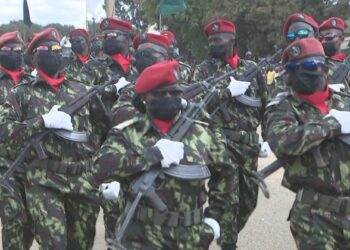 Moçambique Forças de Defesa e Segurança
