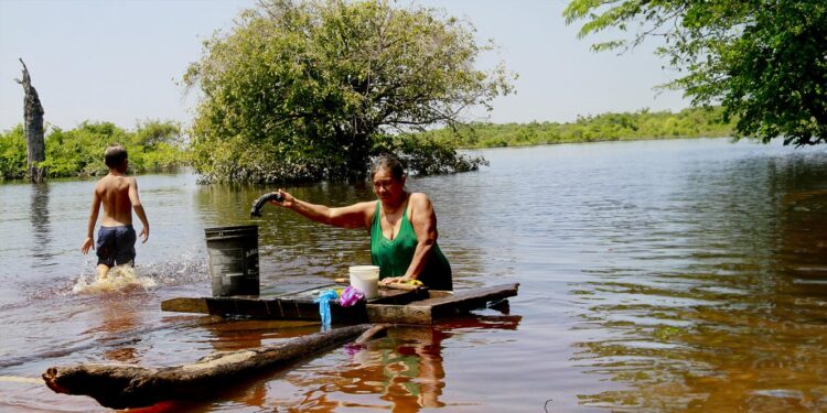 Brasil. Governo subvencionará comunidades tradicionais para que preservem a floresta amazónica 11 brasil comunidades tribos amazonicas