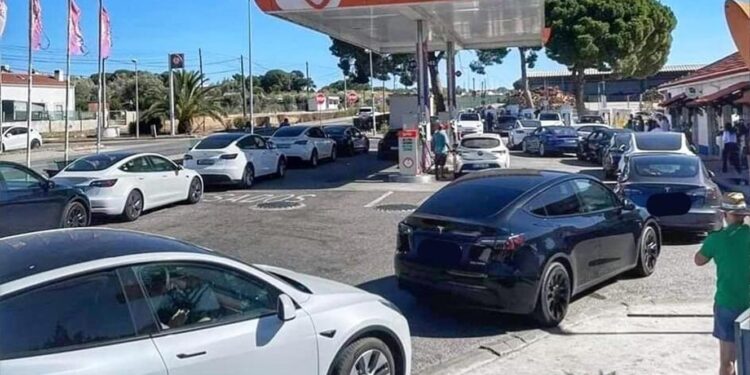 Fila com vários modelos da Tesla em Alcácer do Sal torna-se viral 11 fila eletricos Alcácer do Sal
