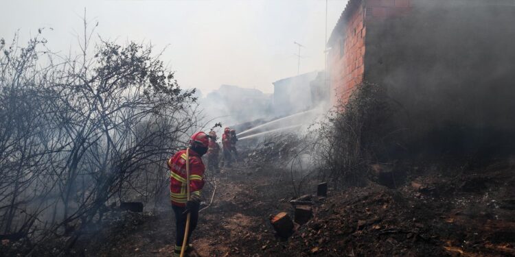 Fogo provocou seis feridos ligeiros em Castelo Branco e Proença-a-Nova 11 fogo incendio Castelo Branco e Proença-a-Nova