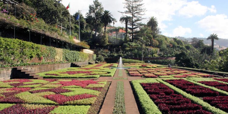 Eleições Madeira. Demissões, golpes e um PS a preparar-se para o pior 11 jardim botanico funchal