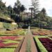 Eleições Madeira. Demissões, golpes e um PS a preparar-se para o pior 22 jardim botanico funchal