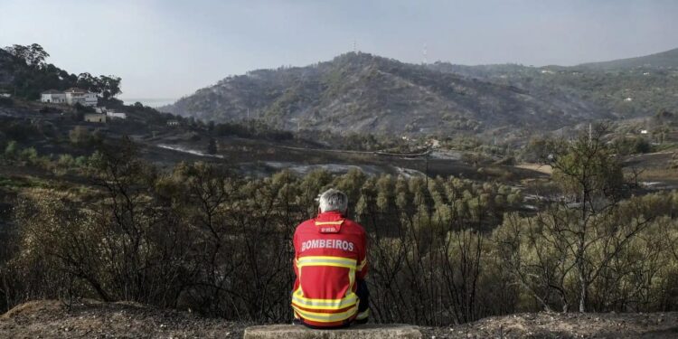 Dezenas de concelhos do interior Norte e Centro e da região do Algarve estão em perigo máximo de incêndio 11 perigo máximo de incêndio