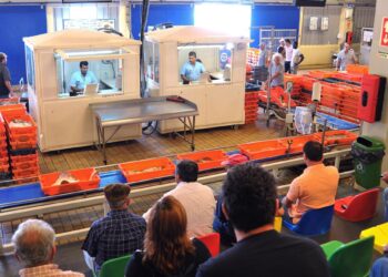 sistema integrado de gestão de lotas e entrepostos