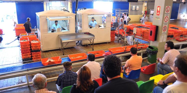 Madeira estreia sistema integrado de gestão de lotas e entrepostos 11 sistema integrado de gestão de lotas e entrepostos