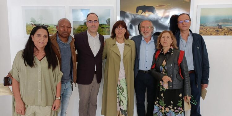Luís Carvalhido inaugurou exposição “A beleza do garrano” em Viana do Castelo 11 A beleza do garrano