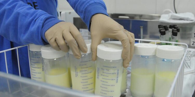 Luanda recebe 1º Congresso de Bancos de Leite Humano da CPLP 11 Bancos de Leite Humano