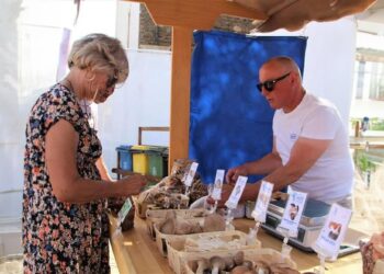 Festival da Sardinha do Grêmio Português