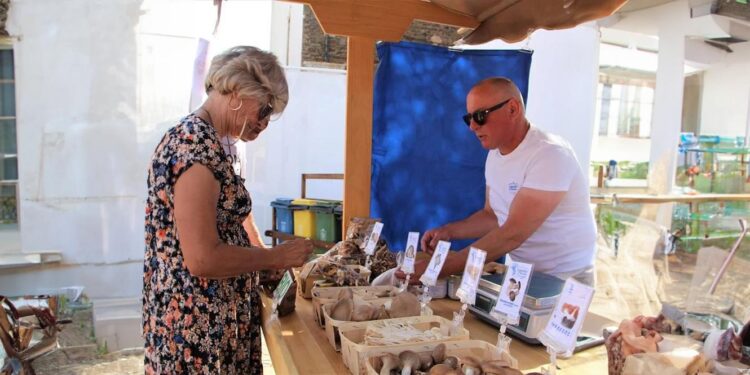 Festival “Soil to Soul Alandroal” promete gastronomia e cultura para promover a sustentabilidade 11 Festival da Sardinha do Grêmio Português