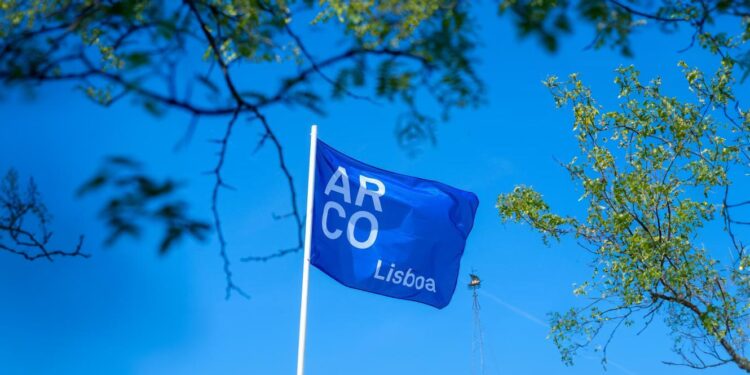 ARCOlisboa quer consolidar-se e "expandir visão de África" para outras latitudes 11 arco lisboa