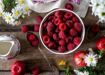 frutos vermelhos saudavel